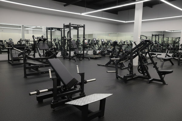 Plate Loaded Hip Thrust Glute Drive Machine (New)